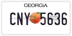CNY5636  license plate in GA