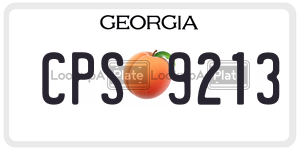 CPS9213  license plate in GA
