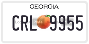 CRL9955  license plate in GA