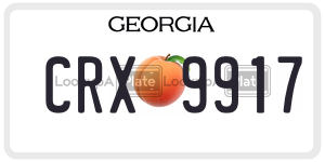 CRX9917  license plate in GA