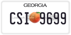 CSI9699  license plate in GA