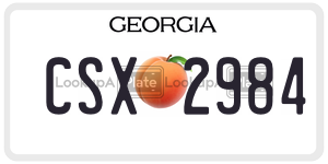 CSX2984 license plate in Georgia