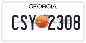 CSY2308  license plate in GA