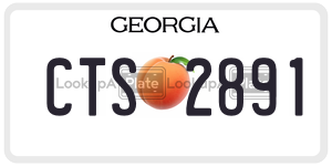 CTS2891  license plate in GA