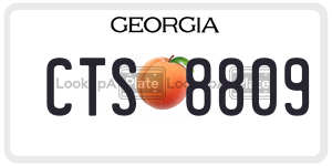 CTS8809 license plate in Georgia