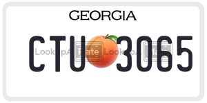 CTU3065  license plate in GA