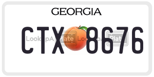 CTX8676  license plate in GA