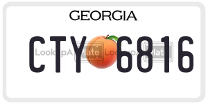CTY6816  license plate in GA