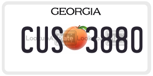 CUS3880  license plate in GA