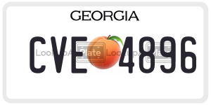 CVE4896 license plate in Georgia