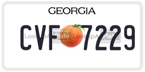CVF7229  license plate in GA