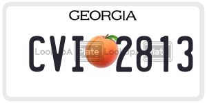 CVI2813  license plate in GA