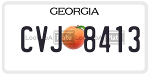 CVJ8413  license plate in GA