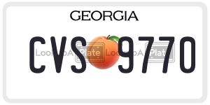 CVS9770  license plate in GA