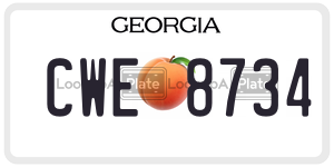 CWE8734  license plate in GA