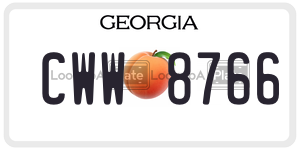 CWW8766 license plate in Georgia