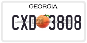 CXD3808  license plate in GA