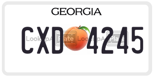 CXD4245  license plate in GA