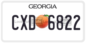 CXD6822  license plate in GA