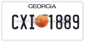 CXI1889  license plate in GA
