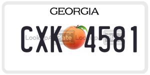 CXK4581  license plate in GA
