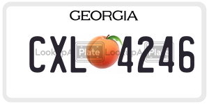 CXL4246 license plate in Georgia