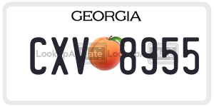 CXV8955  license plate in GA