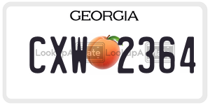 CXW2364  license plate in GA