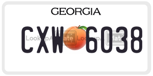 CXW6038  license plate in GA