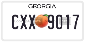 CXX9017  license plate in GA