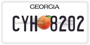 CYH8202  license plate in GA