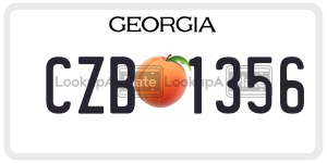 CZB1356 license plate in Georgia