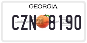 CZN8190  license plate in GA