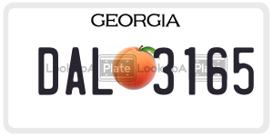 DAL3165 license plate in Georgia