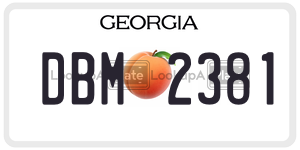 DBM2381 license plate in Georgia