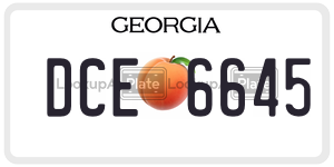 DCE6645 license plate in Georgia