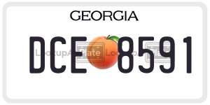 DCE8591  license plate in GA