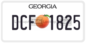 DCF1825 license plate in Georgia