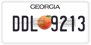 DDL9213  license plate in GA