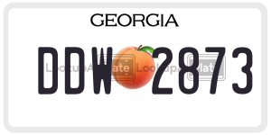 DDW2873  license plate in GA