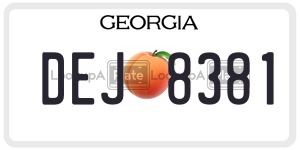 DEJ8381  license plate in GA