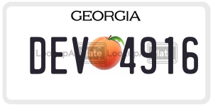 DEV4916  license plate in GA