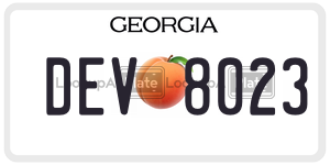 DEV8023  license plate in GA