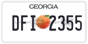 DFI2355  license plate in GA