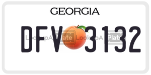 DFV3132  license plate in GA