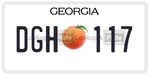DGH117  license plate in GA
