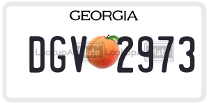 DGV2973  license plate in GA