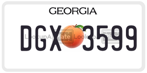 DGX3599  license plate in GA