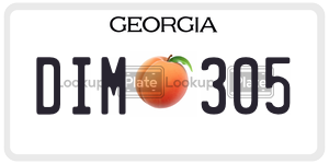 DIM305  license plate in GA