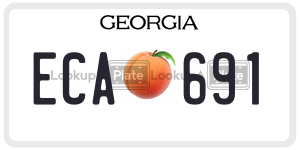 ECA691  license plate in GA